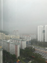 Blk 93A Telok Blangah Street 31 (Bukit Merah), HDB 3 Rooms #320503321